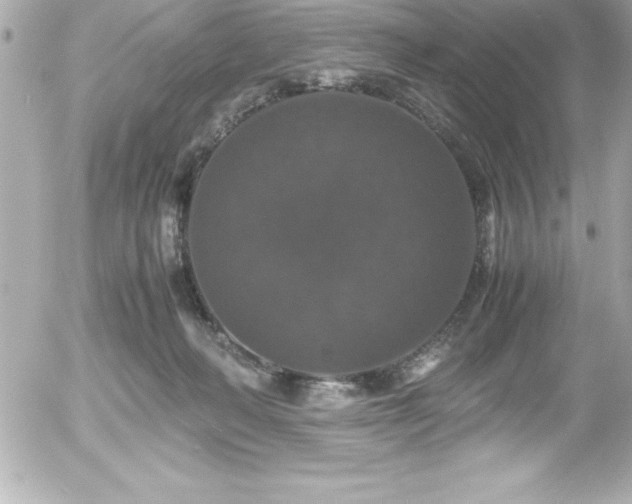 X0000056000222200508191332