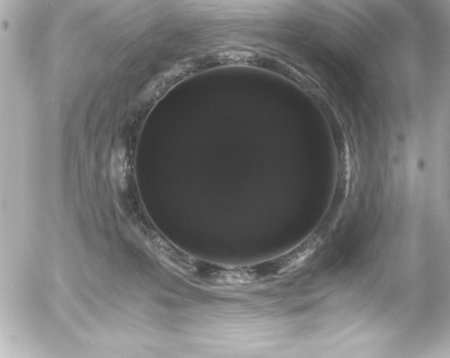 X0000056000223200508191332