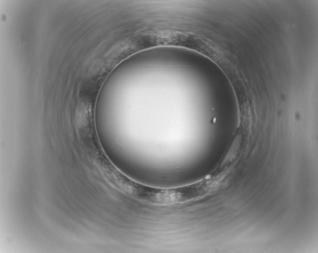 X0000056000225200508191332