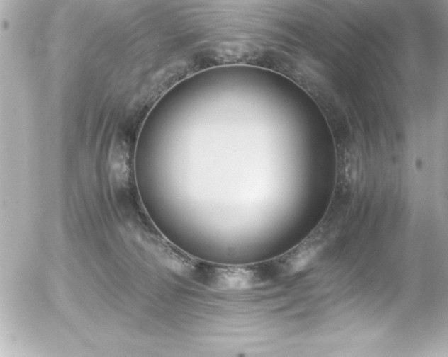 X0000056000226200508191332