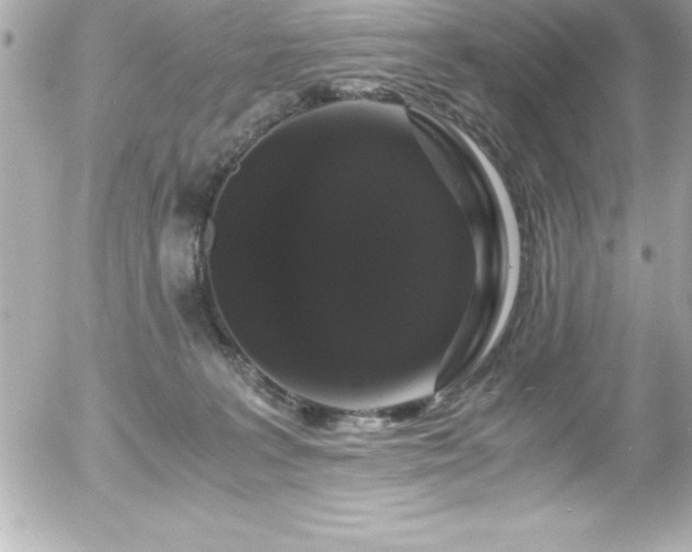 X0000056000227200508191332