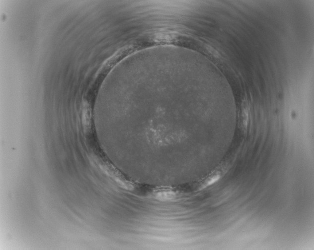 X0000056000228200508191332