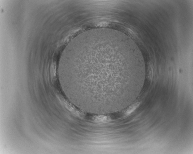 X0000056000230200508191332