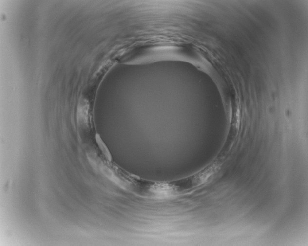 X0000056000231200508191332