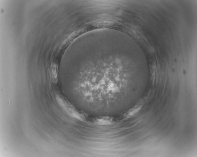 X0000056000232200508191332