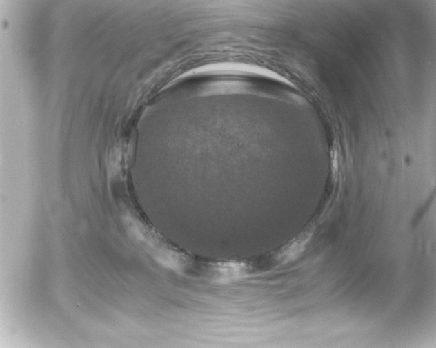 X0000056000233200508191332