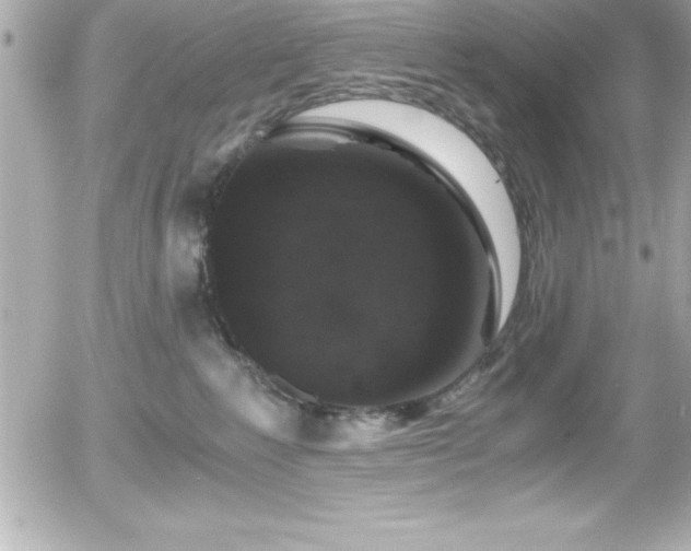 X0000056000235200508191332