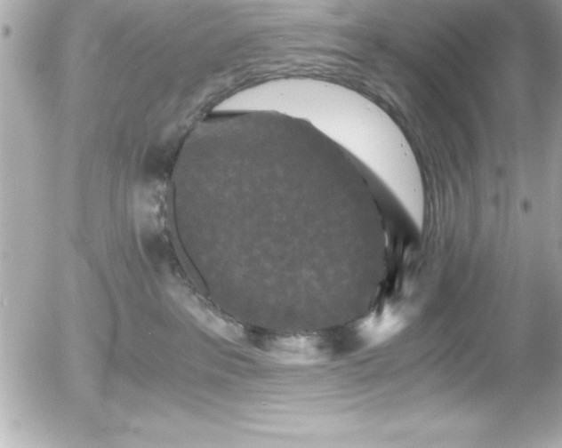 X0000056000237200508191332