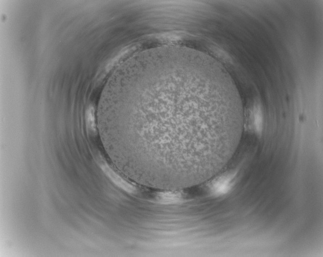 X0000056000238200508191332