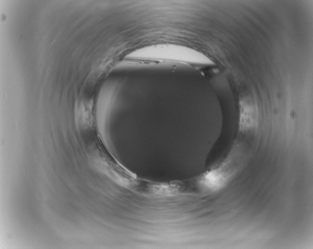 X0000056000239200508191332