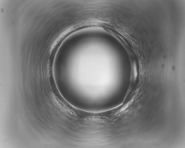 X0000056000244200508191331