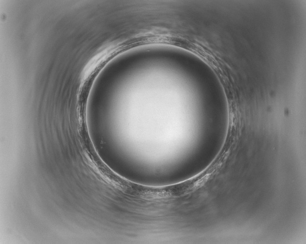 X0000056000245200508191331