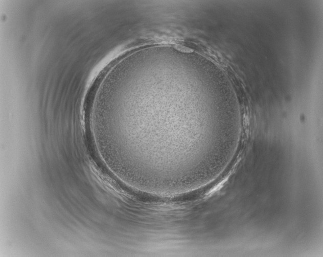 X0000056000246200508191331