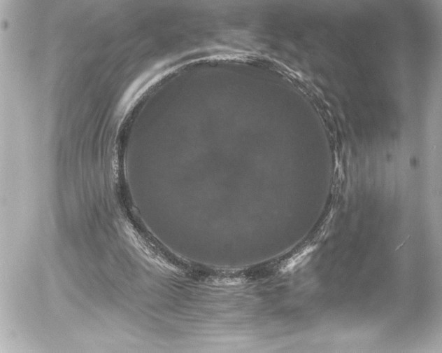 X0000056000247200508191331