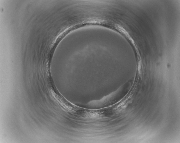 X0000056000249200508191331