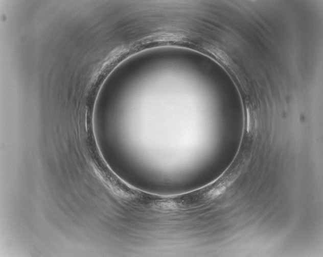 X0000056000253200508191331