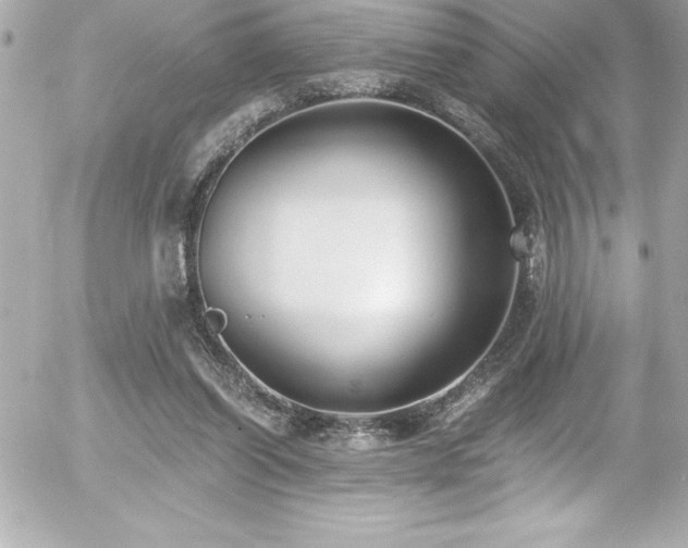 X0000056000254200508191331