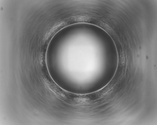 X0000056000255200508191331