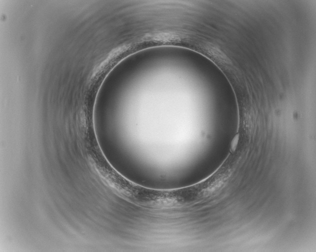 X0000056000256200508191331