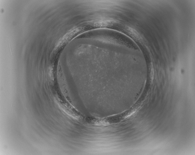 X0000056000258200508191331