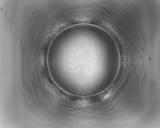 X0000056000259200508191331