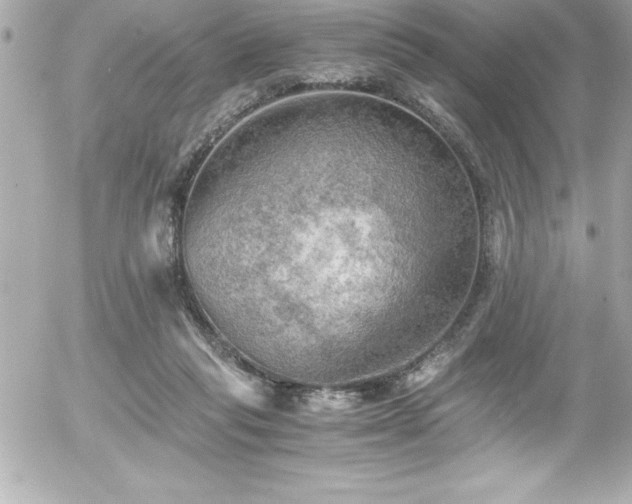 X0000056000261200508191331