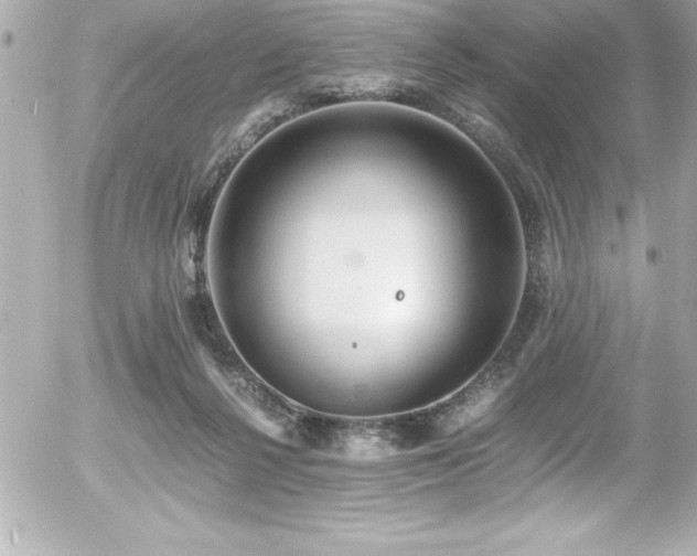 X0000056000264200508191331