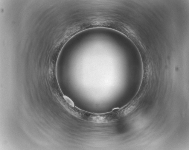 X0000056000265200508191331