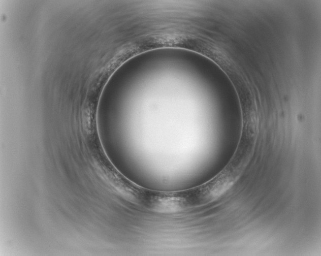 X0000056000268200508191331