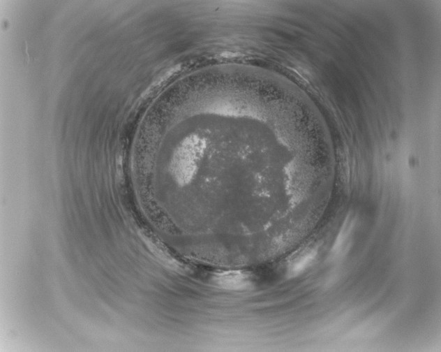 X0000056000269200508191331