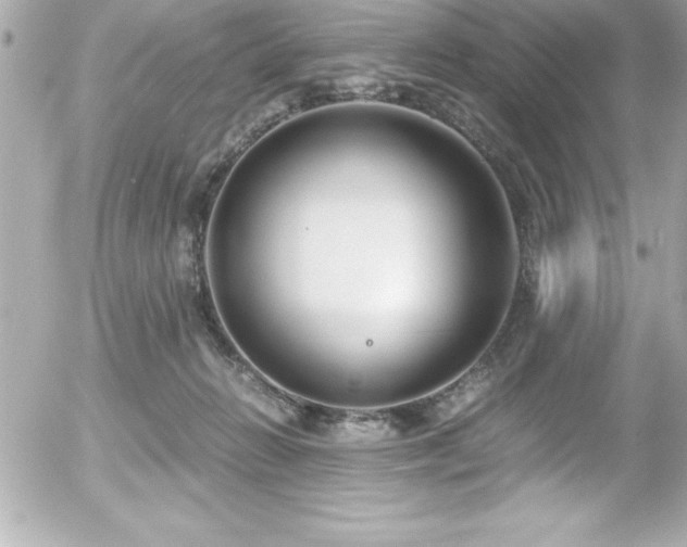 X0000056000270200508191331