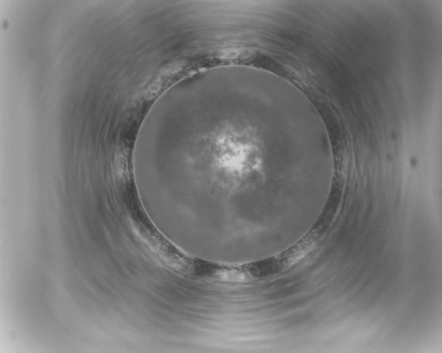 X0000056000272200508191331