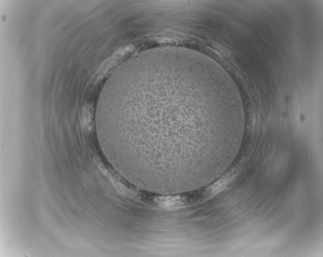 X0000056000273200508191331