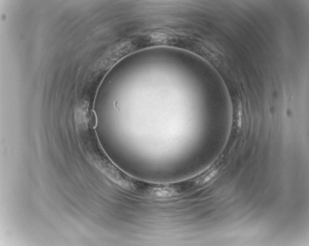 X0000056000275200508191331