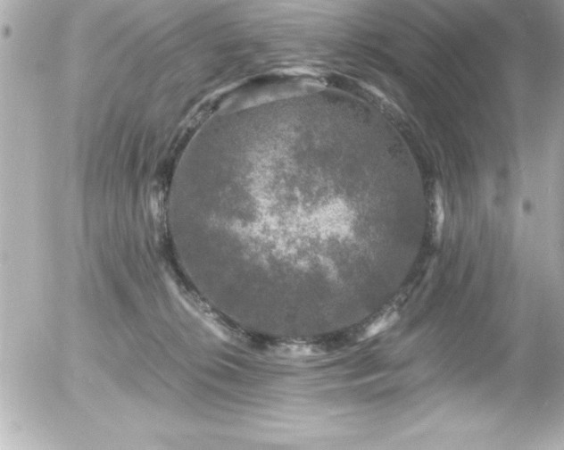 X0000056000276200508191331