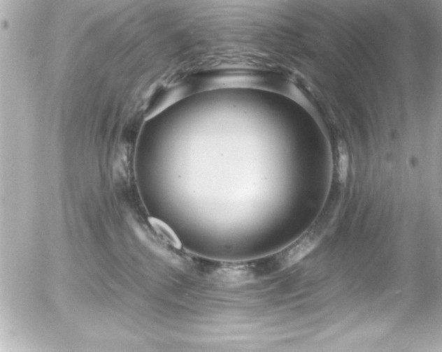 X0000056000280200508191331