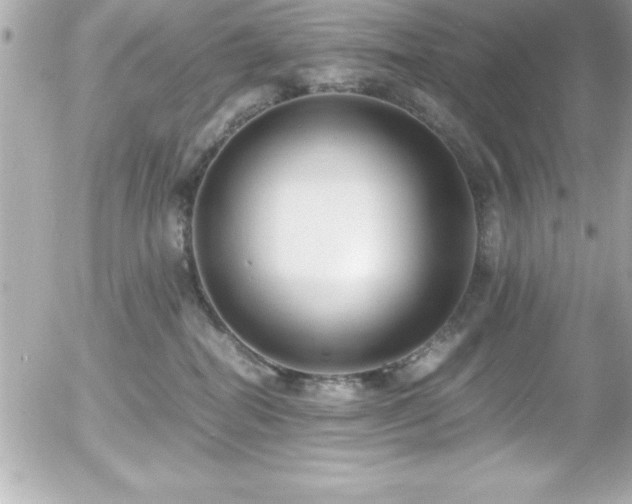 X0000056000282200508191331