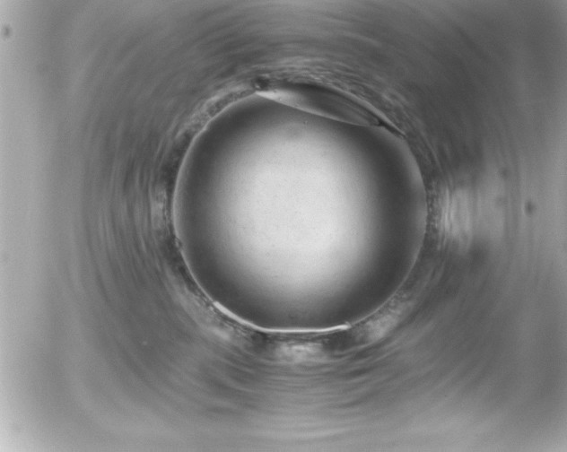 X0000056000283200508191331