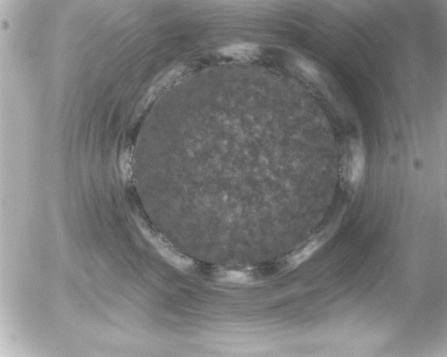 X0000056000285200508191331