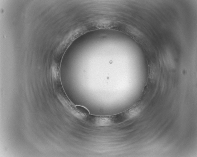 X0000056000287200508191331