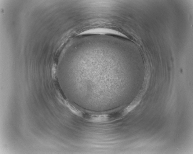 X0000056000288200508191331