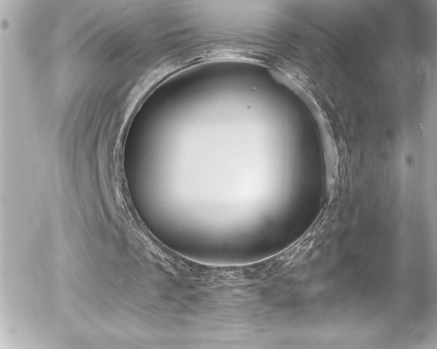 X0000056000289200508191331