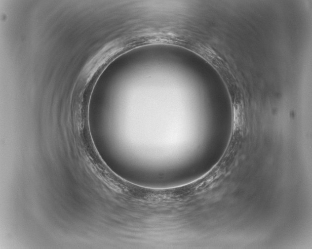 X0000056000291200508191331