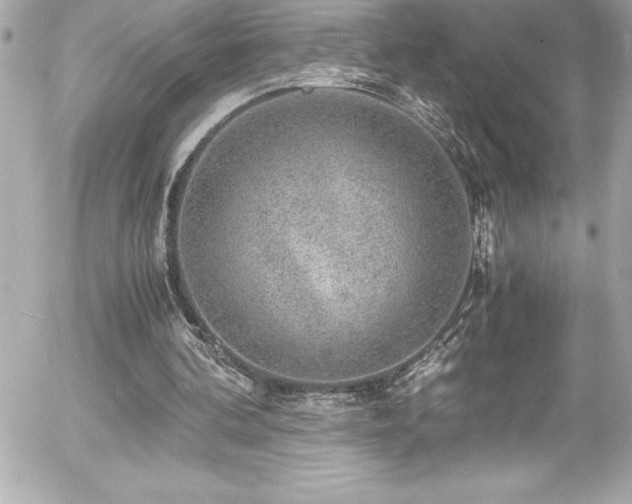 X0000056000292200508191331