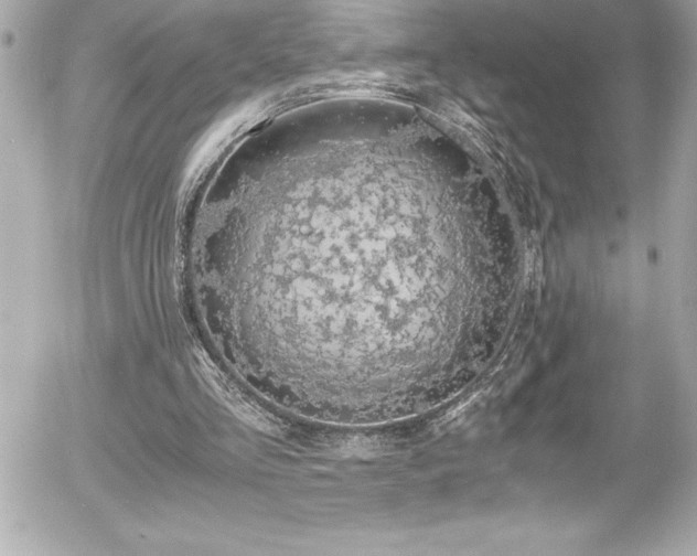 X0000056000293200508191331