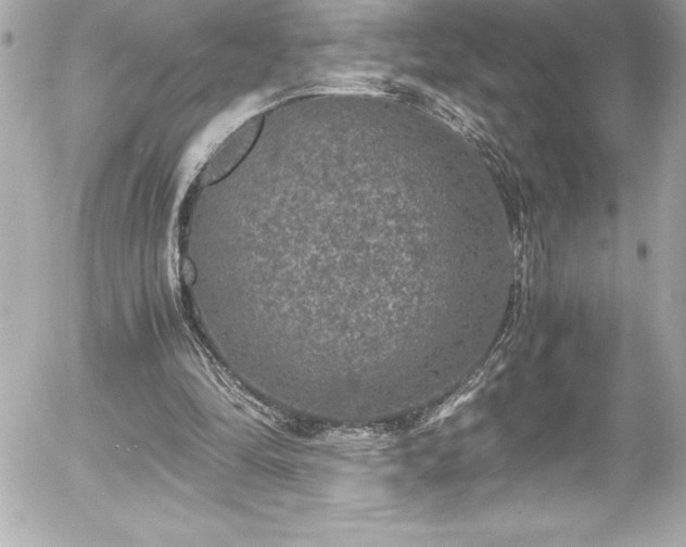 X0000056000294200508191331