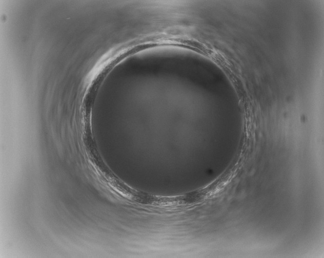 X0000056000295200508191331