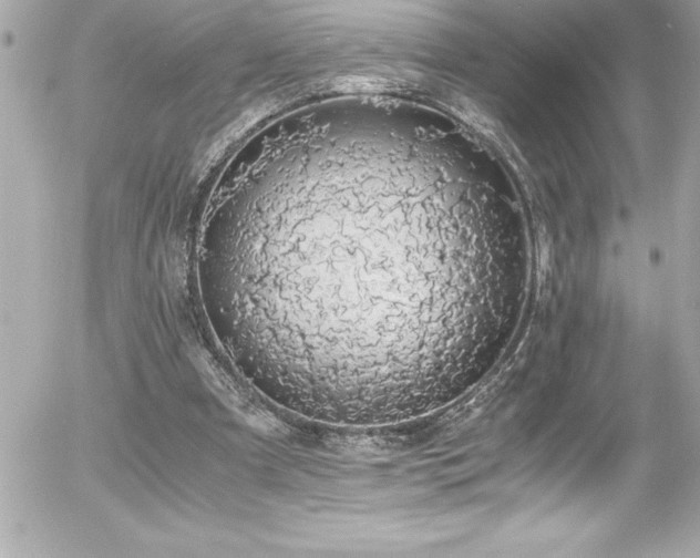 X0000056000297200508191331