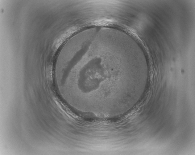 X0000056000299200508191331