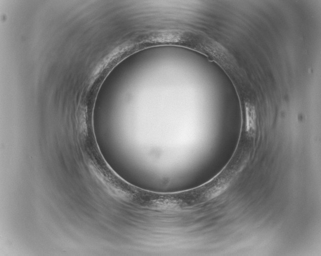 X0000056000300200508191331